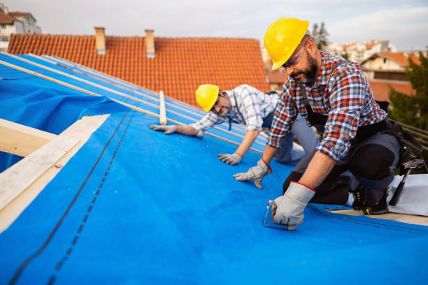 Best Roof Gutter Cleaning  in Oberlin, KS