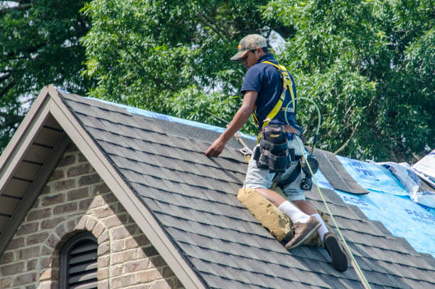 Best Roof Maintenance Services  in Oberlin, KS